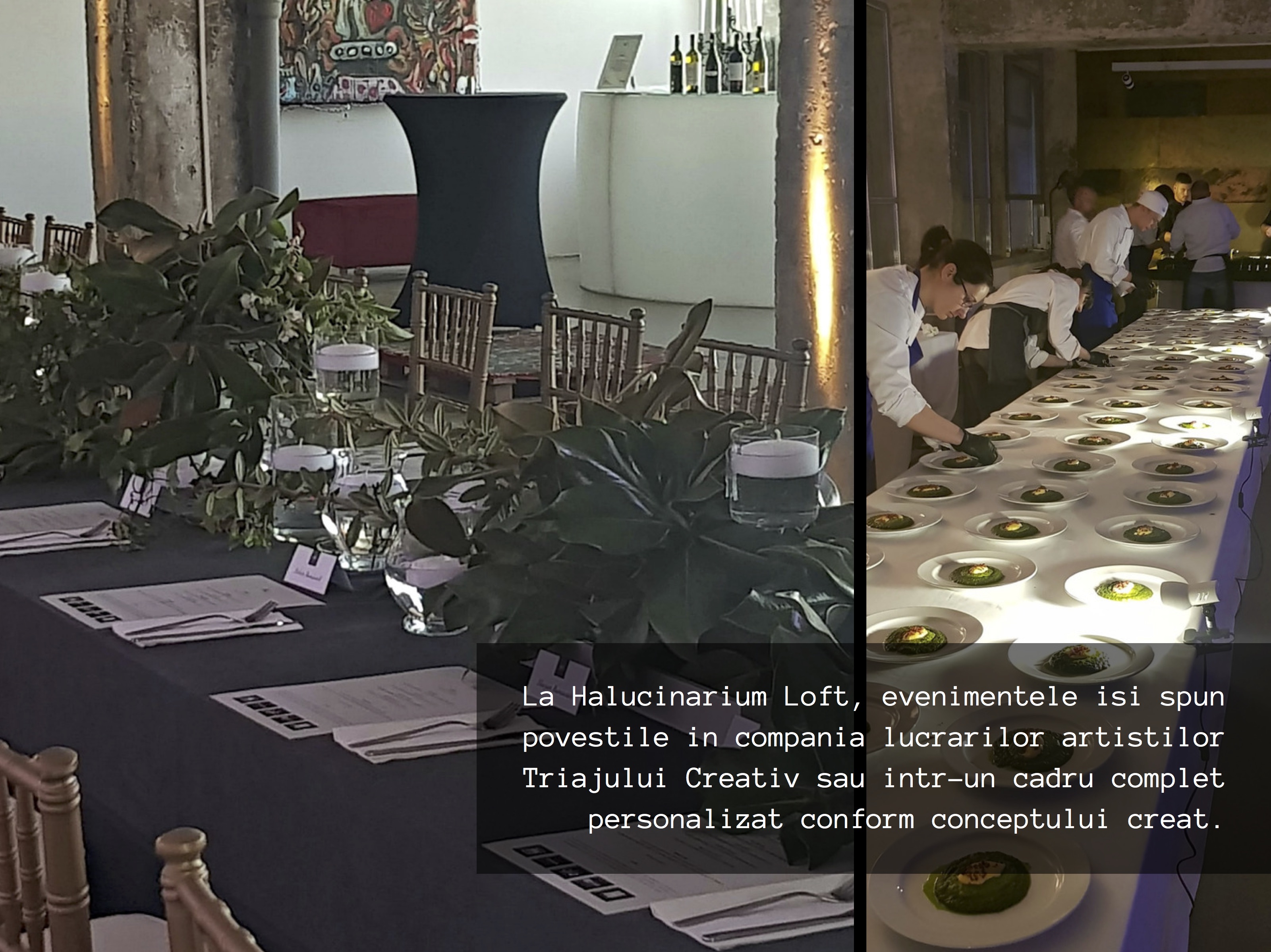HALUCINARIUM loft- presentation 2