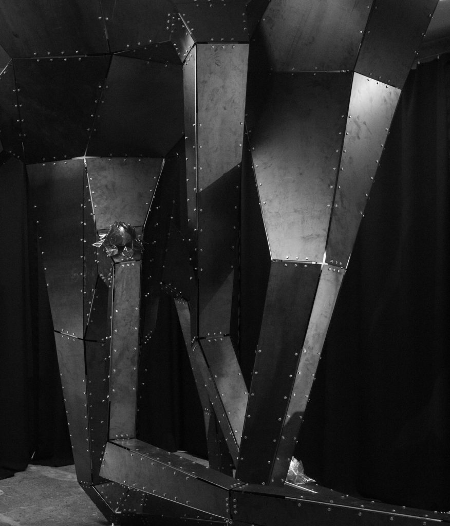 IOANA OLAHUT 5 copy
